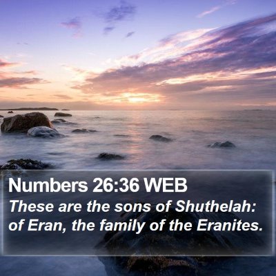 Numbers 26:36 WEB Bible Verse Image