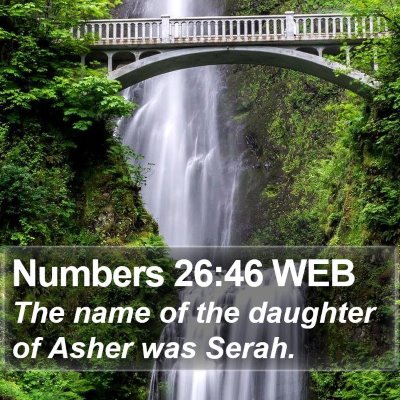 Numbers 26:46 WEB Bible Verse Image