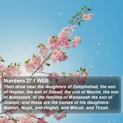 Numbers 27:1 WEB Bible Verse Image