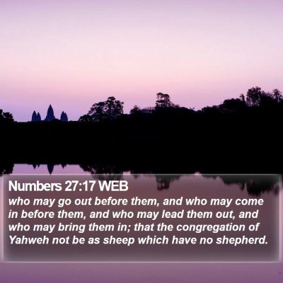 Numbers 27:17 WEB Bible Verse Image