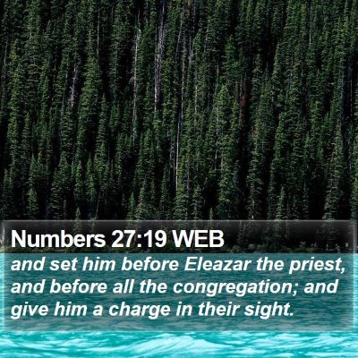 Numbers 27:19 WEB Bible Verse Image