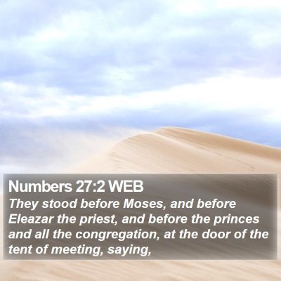 Numbers 27:2 WEB Bible Verse Image
