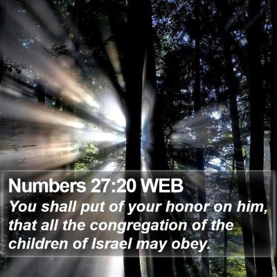 Numbers 27:20 WEB Bible Verse Image