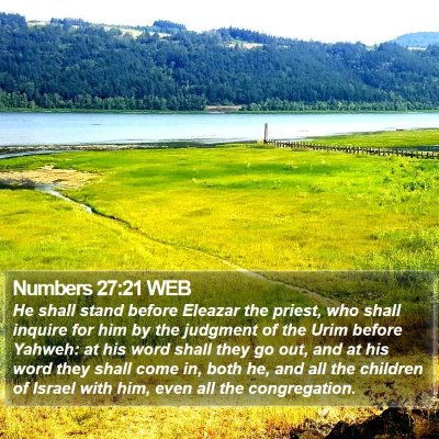 Numbers 27:21 WEB Bible Verse Image