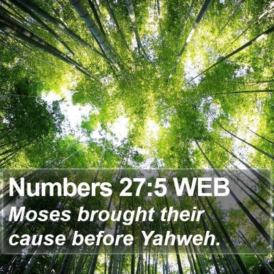 Numbers 27:5 WEB Bible Verse Image