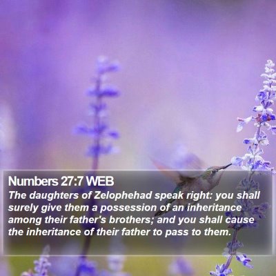 Numbers 27:7 WEB Bible Verse Image