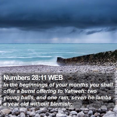 Numbers 28:11 WEB Bible Verse Image