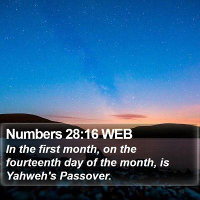 Numbers 28:16 WEB Bible Verse Image