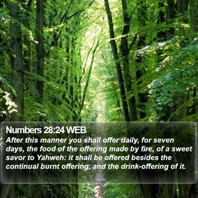 Numbers 28:24 WEB Bible Verse Image