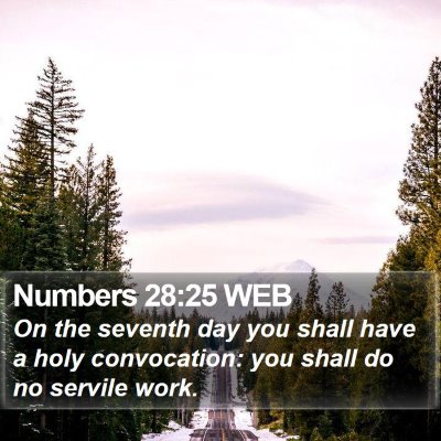 Numbers 28:25 WEB Bible Verse Image