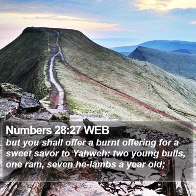 Numbers 28:27 WEB Bible Verse Image