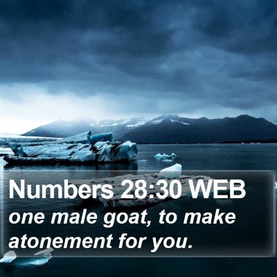 Numbers 28:30 WEB Bible Verse Image