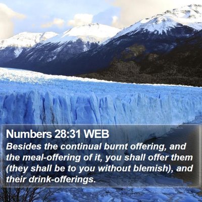 Numbers 28:31 WEB Bible Verse Image