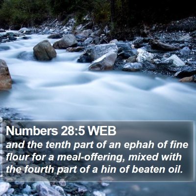 Numbers 28:5 WEB Bible Verse Image