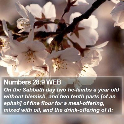 Numbers 28:9 WEB Bible Verse Image