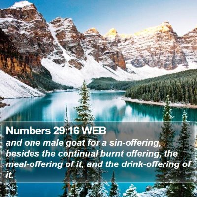 Numbers 29:16 WEB Bible Verse Image