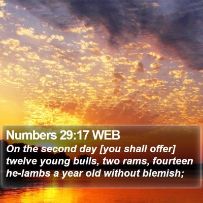 Numbers 29:17 WEB Bible Verse Image