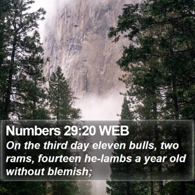 Numbers 29:20 WEB Bible Verse Image