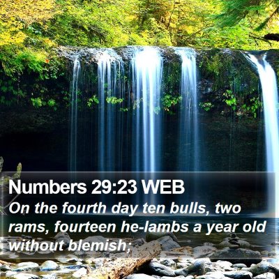 Numbers 29:23 WEB Bible Verse Image