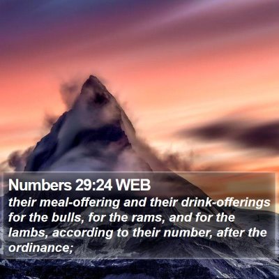 Numbers 29:24 WEB Bible Verse Image