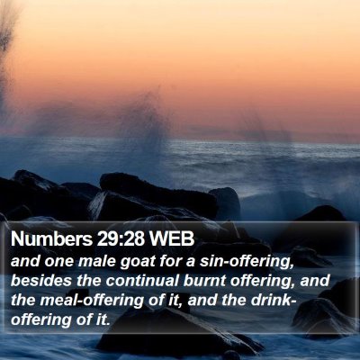 Numbers 29:28 WEB Bible Verse Image