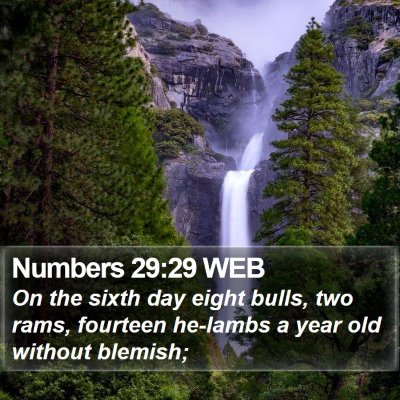 Numbers 29:29 WEB Bible Verse Image