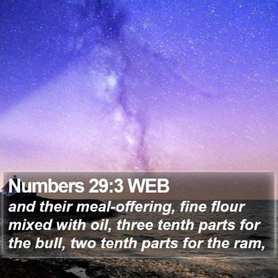 Numbers 29:3 WEB Bible Verse Image