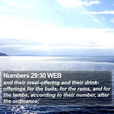 Numbers 29:30 WEB Bible Verse Image