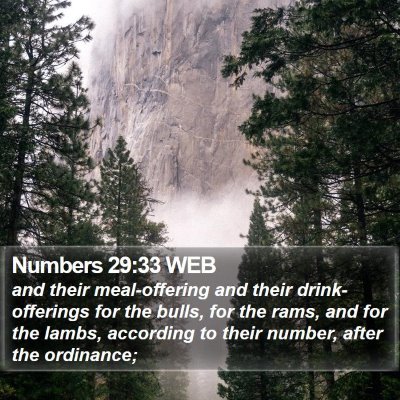 Numbers 29:33 WEB Bible Verse Image