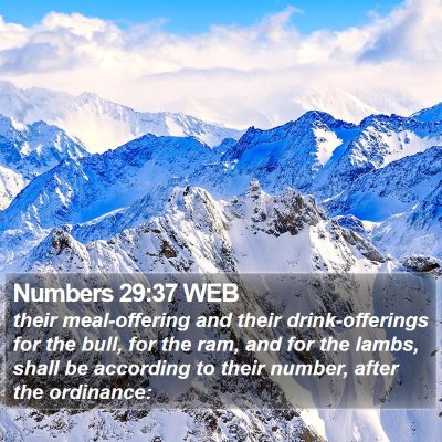Numbers 29:37 WEB Bible Verse Image
