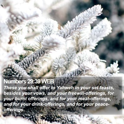 Numbers 29:39 WEB Bible Verse Image