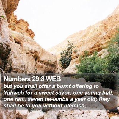 Numbers 29:8 WEB Bible Verse Image