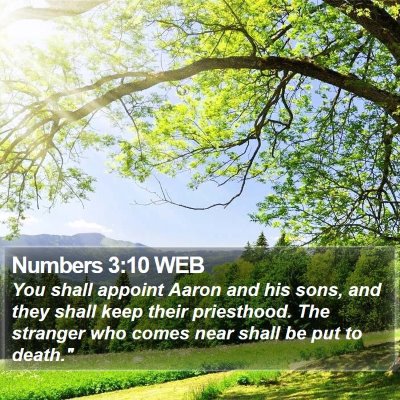 Numbers 3:10 WEB Bible Verse Image