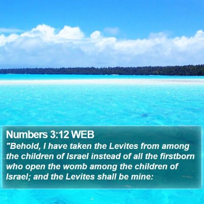 Numbers 3:12 WEB Bible Verse Image