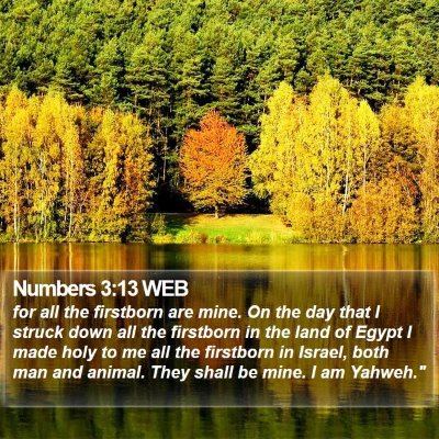 Numbers 3:13 WEB Bible Verse Image