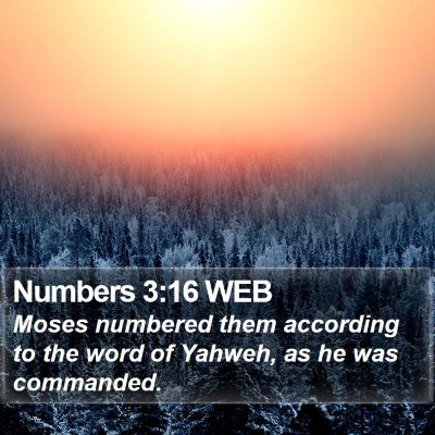 Numbers 3:16 WEB Bible Verse Image