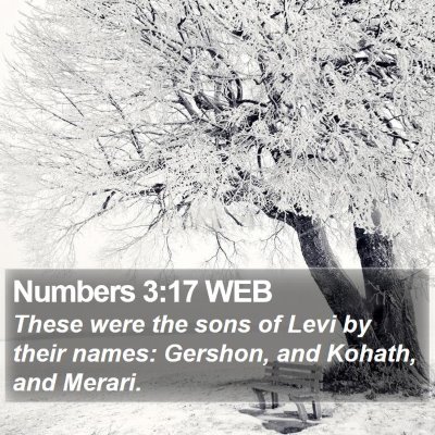 Numbers 3:17 WEB Bible Verse Image