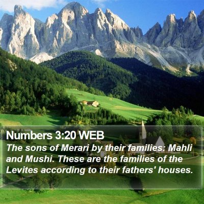 Numbers 3:20 WEB Bible Verse Image