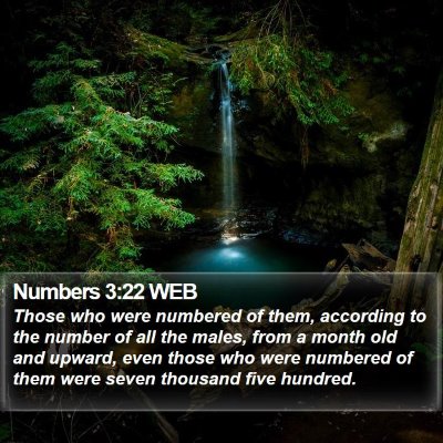 Numbers 3:22 WEB Bible Verse Image