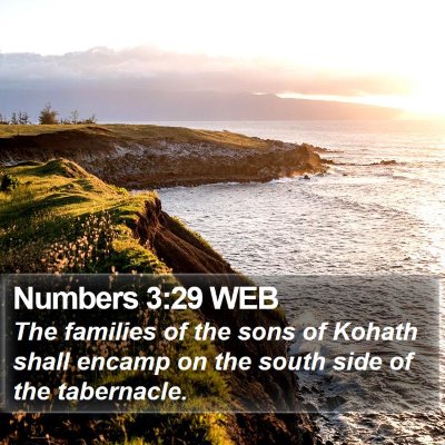 Numbers 3:29 WEB Bible Verse Image