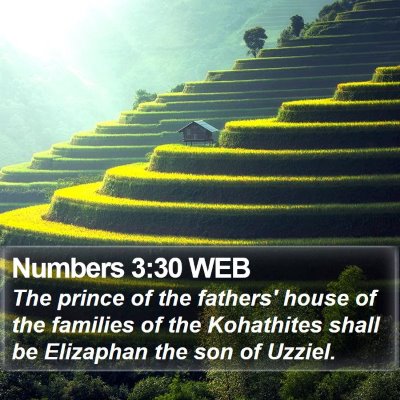 Numbers 3:30 WEB Bible Verse Image