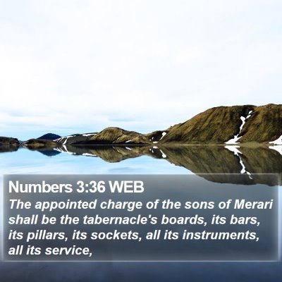 Numbers 3:36 WEB Bible Verse Image
