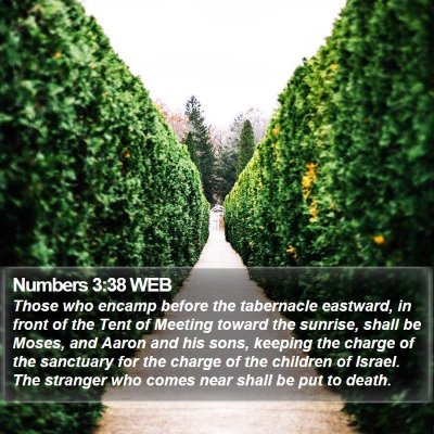 Numbers 3:38 WEB Bible Verse Image