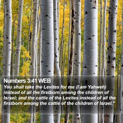 Numbers 3:41 WEB Bible Verse Image