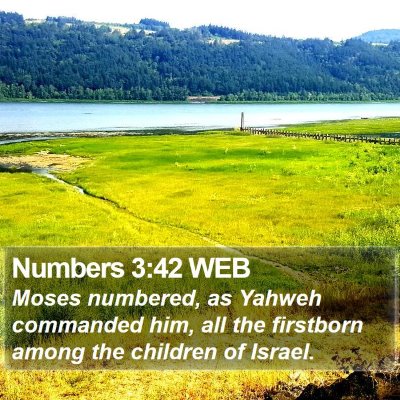 Numbers 3:42 WEB Bible Verse Image
