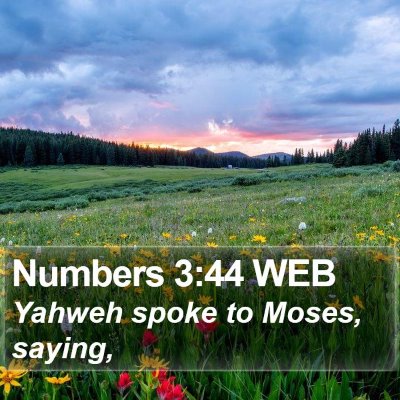 Numbers 3:44 WEB Bible Verse Image