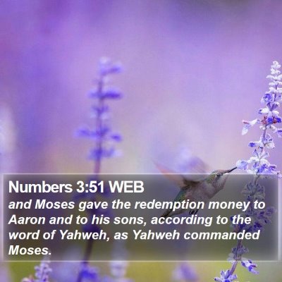 Numbers 3:51 WEB Bible Verse Image