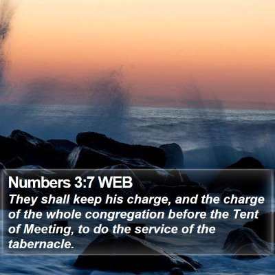 Numbers 3:7 WEB Bible Verse Image
