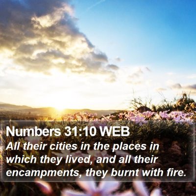 Numbers 31:10 WEB Bible Verse Image