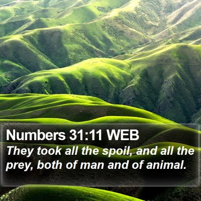 Numbers 31:11 WEB Bible Verse Image
